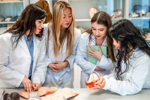 Four focused medical students examining anatomical models in university laboratory, learning about human body systems