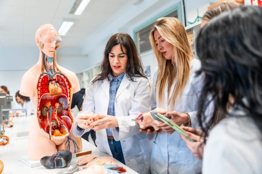 Medical students examining anatomical model and organ replicas during anatomy class in university laboratory