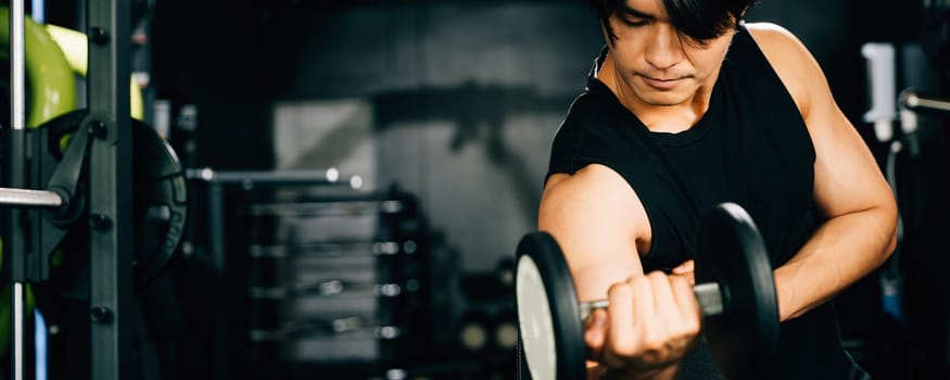 Asian man Muscular guy lifting dumbbell while sitting on bench gym, men using dumbbell during workout pumping up bicep muscle at fitness gym, workout healthy lifestyle concept