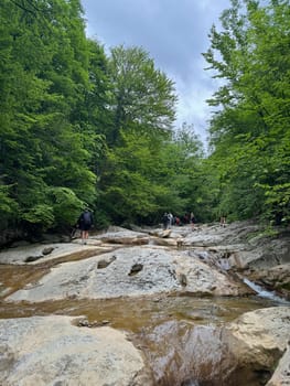 hikers climbing a mountain along a forest path on a hike