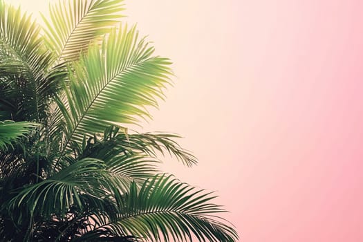 Pink background with tropical palm leaves in muted tones. Flat lay top view. Banner.