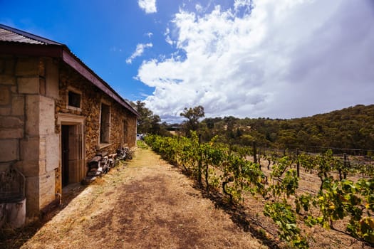 MELBOURNE, AUSTRALIA - FEBRUARY 15 2025: The grounds and historic buildings of Panton Hill Winery in Panton Hill, Melbourne, Victoria, Australia