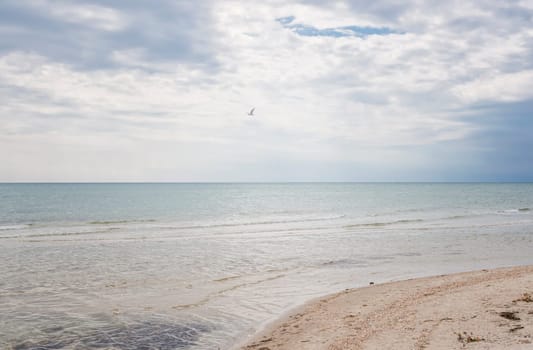 picturesque summer beach with white sand, blue sea and rich sky. sea horizon goes into the distance. ideal summer location with a beach on the sea coast. beautiful glare of the sun on the sea surface