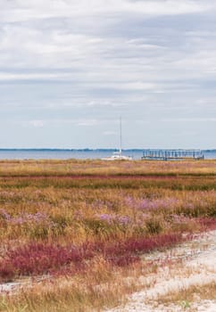 Picturesque sea coast on the island with white sand. Bright grass and flowers grow on white sand, bright blue sky on the horizon, white boat stands near the pier.
