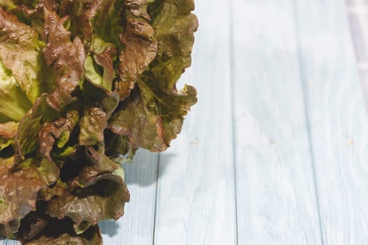 This vibrant image showcases fresh red leaf lettuce perched on a stylish blue wooden table, emphasizing the organic beauty and richness of healthy produce.