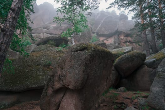 Taiga forest and rocks of the Stolby nature reserve park, Krasnoyarsk, Russia