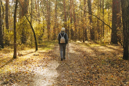 Embracing the beauty of autumn while Nordic walking through a serene forest trail surrounded by colorful foliage