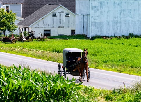 A horse-drawn carriage makes its way down a quiet rural road surrounded by lush greenery and farmhouses. The sun shines brightly on a tranquil summer day.