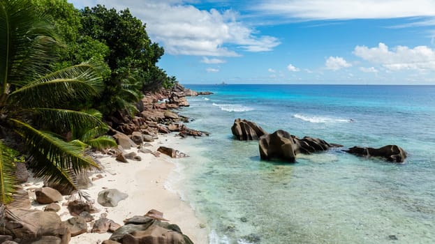 Palm trees overhanging a secluded beach with large granite boulders on the shore. La Digue, Seychelles.