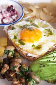 Delicious brunch with eggs, avocado, and mushrooms in a cozy setting.