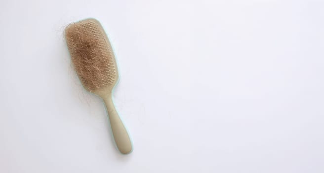 hairbrush and hair on it.hair loss