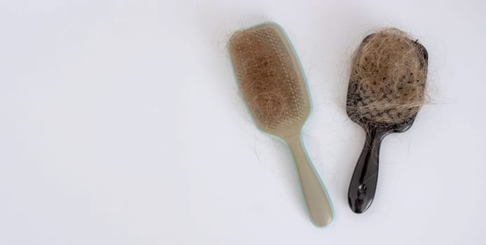 hairbrush and hair on it.hair loss