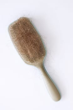 hairbrush and hair on it.hair loss
