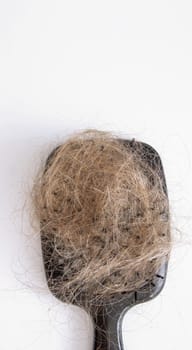 hairbrush and hair on it.hair loss