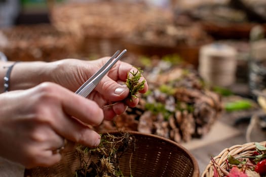 Hands skillfully use scissors to prune vibrant herbs, showcasing gardening proficiency and loving attention