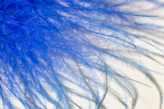 Abstract background. Fluff of blue feather bird close up