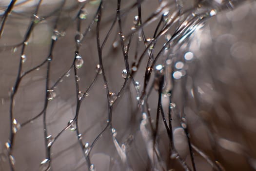 drops of water on a black mesh on a blurred gray background. Abstract background. Selectiv focus