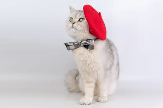 Charming cat with red beret and bow tie . artist