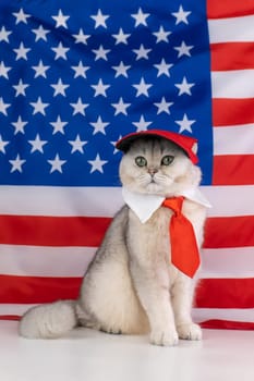 Patriotic cat wearing red tie and cap with american flag background.