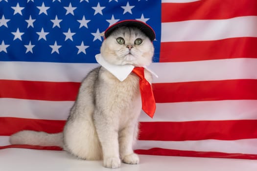 Patriotic cat dressed in red tie and red hat with american flag background.