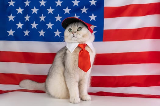 Patriotic cat in red tie and red cap with american flag background.