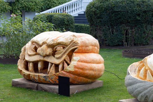 Scary face carved into a pumpkin for Halloween. High quality photo