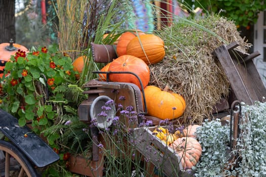 Beautiful traditional park decoration for Halloween with pumpkins.