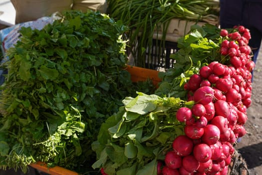 Large heap of fresh red radish vegetable with green leaves displayed on street market - fruit and vegetables are usually sold on streets at Jordan