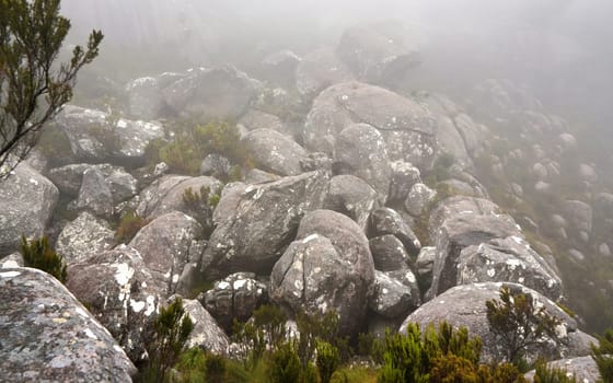 Large round stones covered with moss, grass growing around, mist background, typical scenery seen during trek to Pic Boby in Andringitra, Madagascar