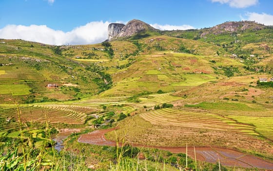 Typical Madagascar landscape - green and yellow rice terrace fields on small hills with clay houses in Andringitra region near Sendrisoa