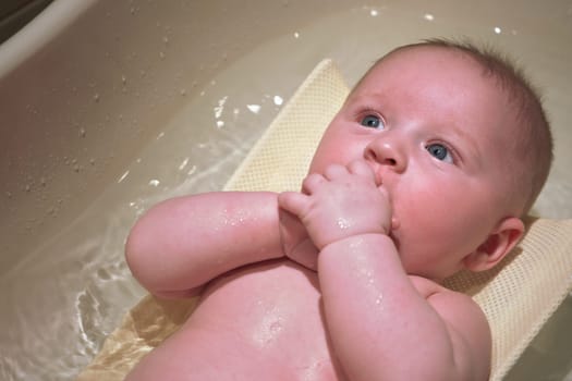 Infant baby boy washed in small bath tub, view from above