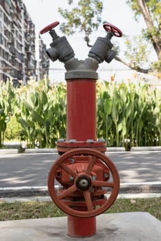 A old red fire hydrant (Fire plug or Water pump) standing in city park for fire fighting, Fire department connections, Fire safety concept, use it as your Wallpaper, Poster and Copy space, Selective focus.