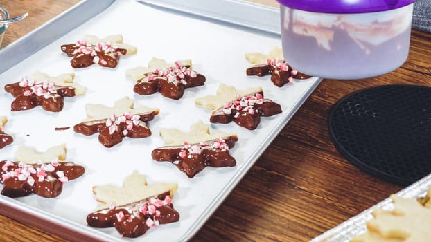 Crafting star-shaped holiday cookies dipped in chocolate and sprinkled with variety of toppings.