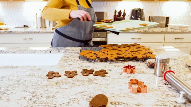 After baking to perfection, these delightful gingerbread cookies are now cooling gracefully on a wire rack, filling the modern kitchen with a warm and inviting aroma.