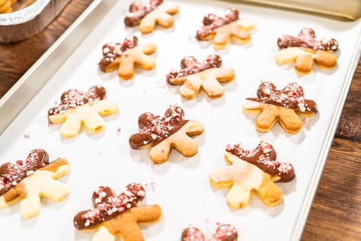 Preparing star-shaped cookies, half-dipped in chocolate, accented with peppermint chocolate chips for the holidays.