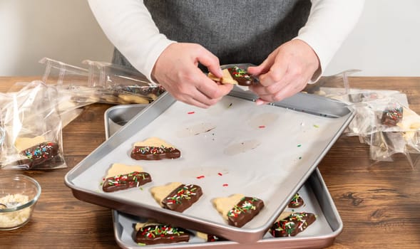 Carefully packaging Christmas cutout cookies, half-dipped in chocolate and presented in clear cellophane wrapping, perfect for festive gifting.