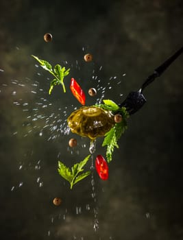 Pattypan squash, fresh herbs, red chili pepper, and spices are flying on a fork with water splashing against a dark background