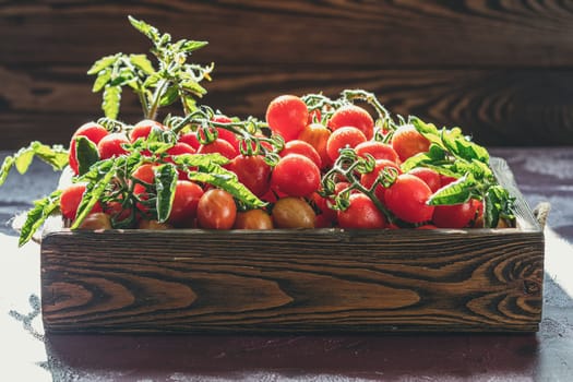 Ripe cherry tomatoes, still on the vine, are overflowing a rustic wooden crate, showcasing the abundance of a summer harvest