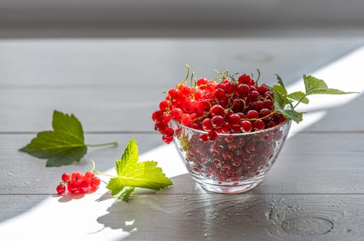 Ripe red currants spilling from a glass bowl, accompanied by vibrant green leaves, create a delightful summer scene on a sunlit wooden table