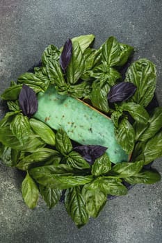 Green pesto gouda cheese decorated with fresh green and purple basil leaves on dark background, top view