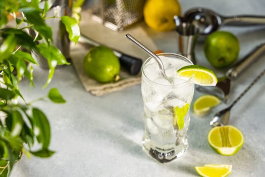 Gin and tonic cocktail is being prepared with fresh lime and ice, showcasing bar accessories and a green plant