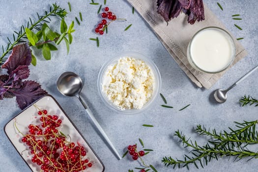 Fresh cottage cheese, yogurt, redcurrant, and aromatic herbs are arranged on a gray background, composing a healthy and appetizing culinary scene