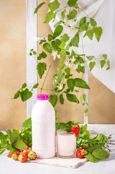 Refreshing strawberry milk or yogurt with fresh strawberries and mint on a light background with climbing plant