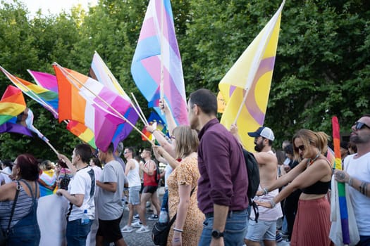 Crowd of homosexual men and women with rainbow flags at gay pride parade on street. Male and females are celebrating LGBTQ rights in city during daytime