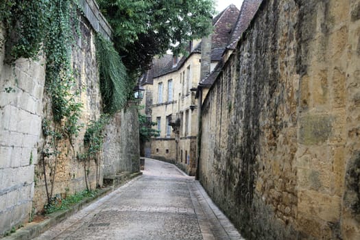 Discover the charming narrow alleyways of Sarlat-la-Caneda lined with historic stone buildings and lush greenery.