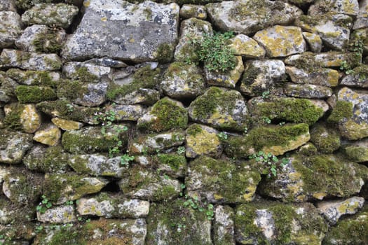 Discover the ancient stone wall adorned with moss and plants in Sarlat-la-Caneda, a testament to nature's beauty.