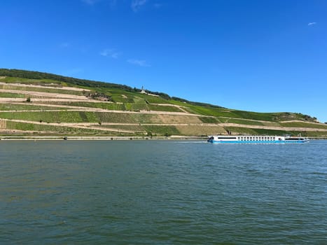 Rhine landscape in the upper Middle Rhine Valley between Ruedesheim and Lorch