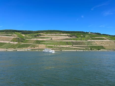 Rhine landscape in the upper Middle Rhine Valley between Ruedesheim and Lorch