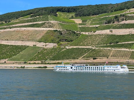 Rhine landscape in the upper Middle Rhine Valley between Ruedesheim and Lorch
