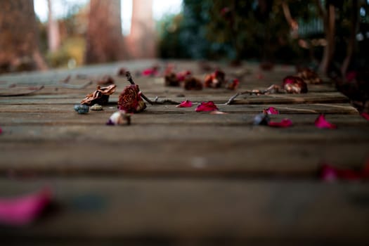 Withered camellia petals and stems scattered on wooden pathway.